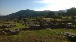 11937962_1127688117258895_596736219_n